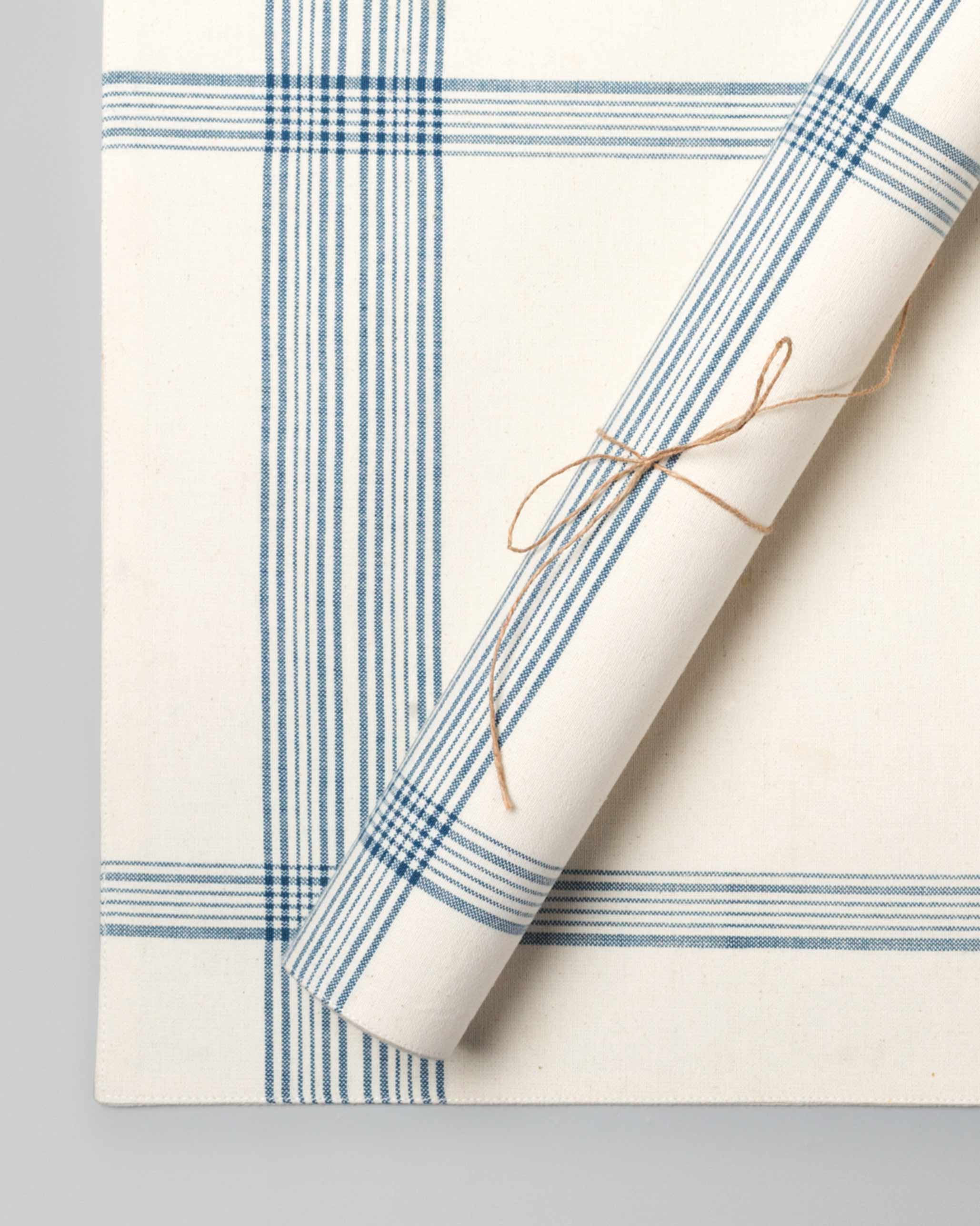 Riku Placemat (Set of 2) - Ivory & Blue
