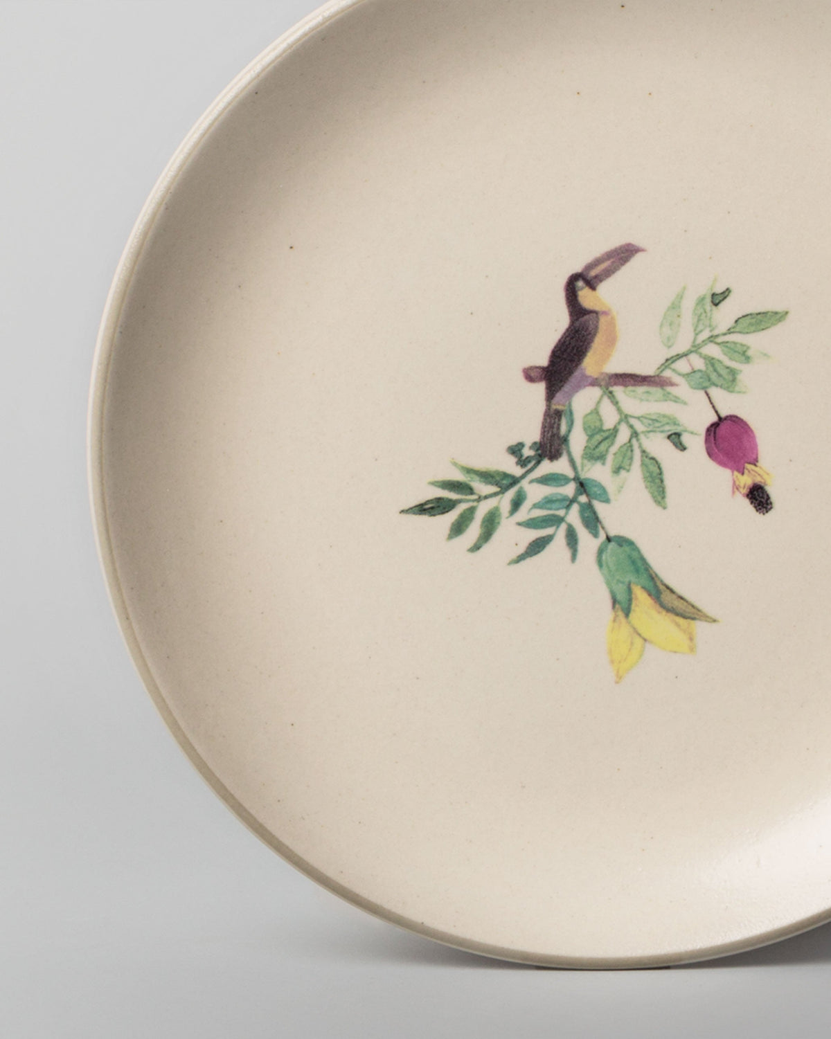 Close-up of Nakano Quarter Plate showing its toucan on a leafy branch.