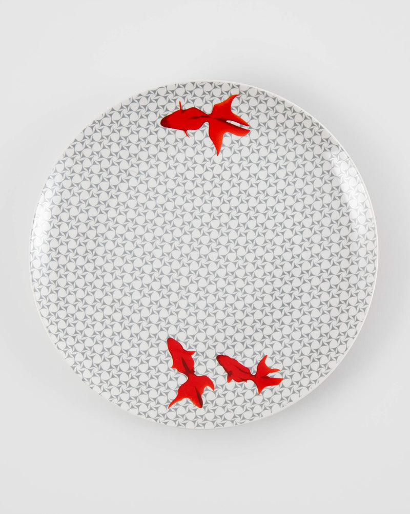 Guppy Shup Quarter Plate