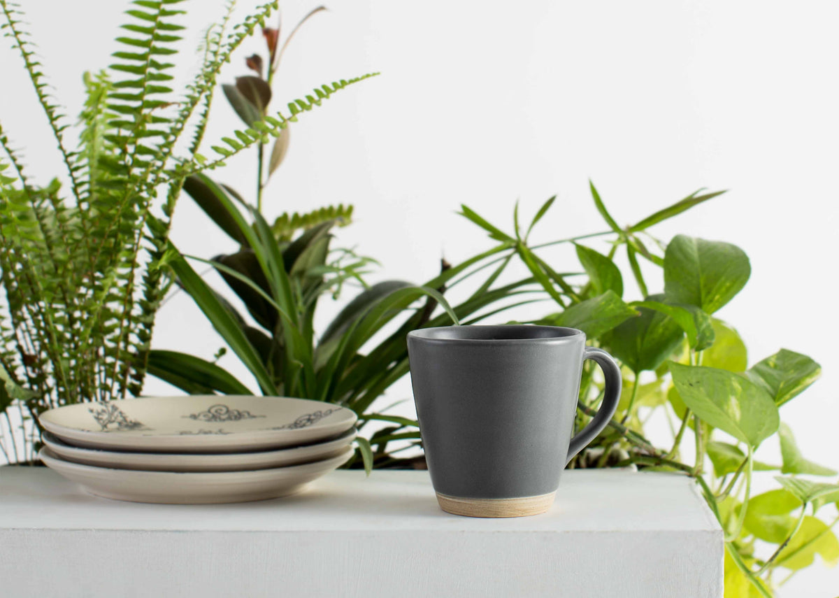 Slate Mug on a white ledge with plants behind it.