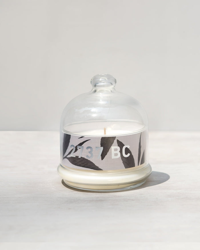 BC bell jar candle under a glass dome, with a grey leaf-print label.