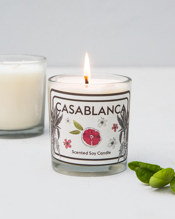 Lit Casablanca Jar Candle showing its palm and grapefruit label.