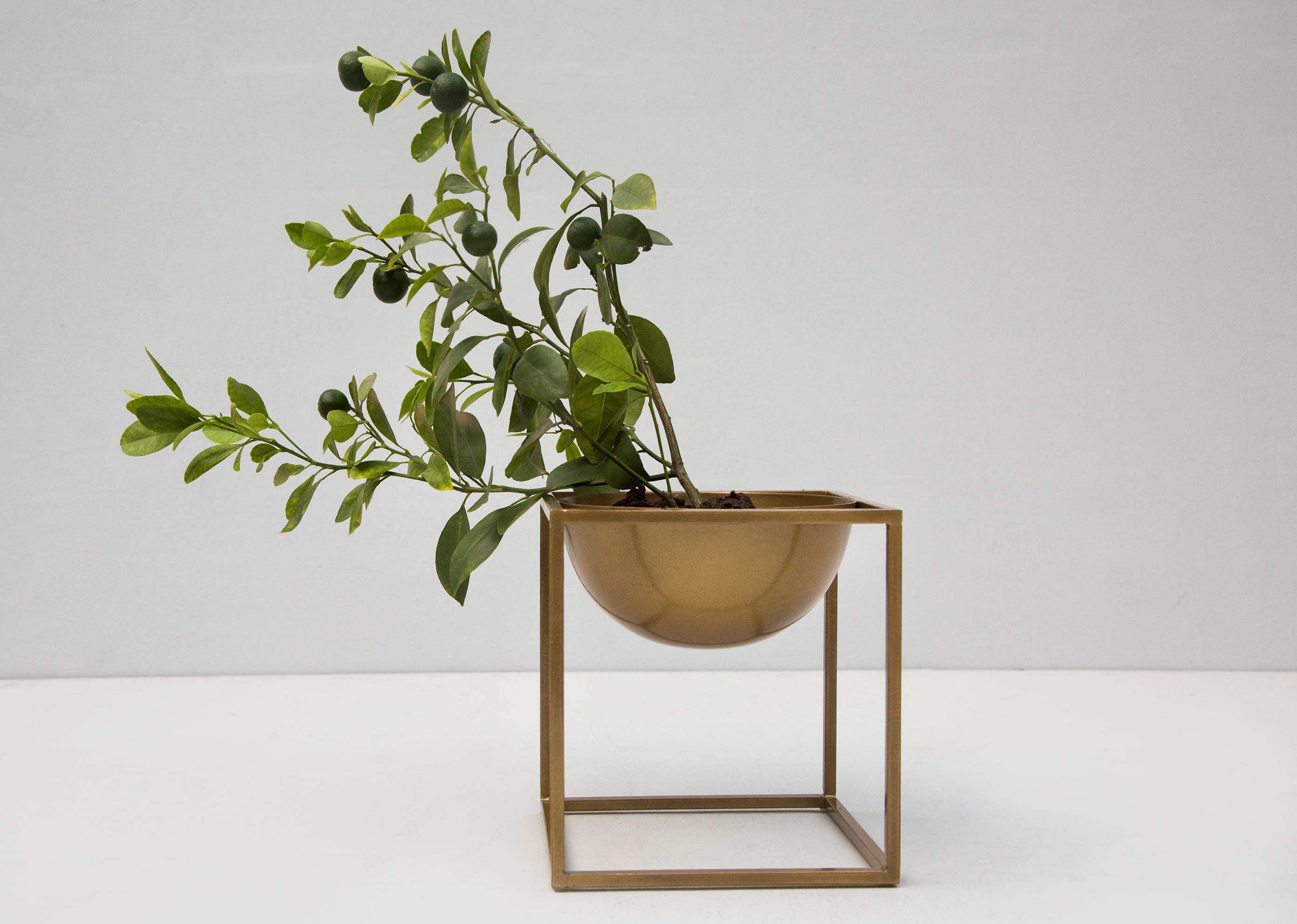 Brass Planter - Medium