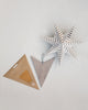 Silver Paper Star (Set of 2)