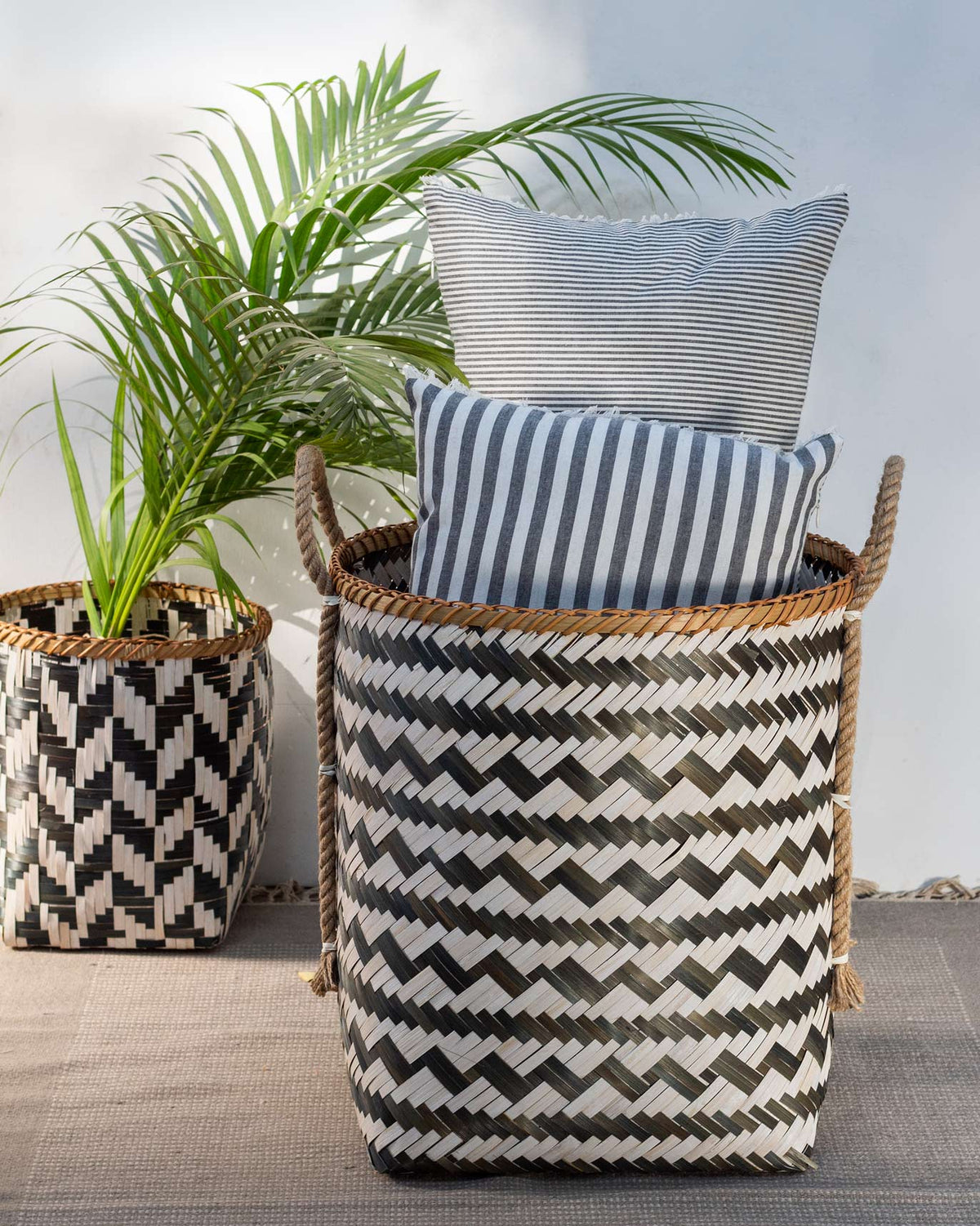 Large Bamboo Storage beside a potted palm.