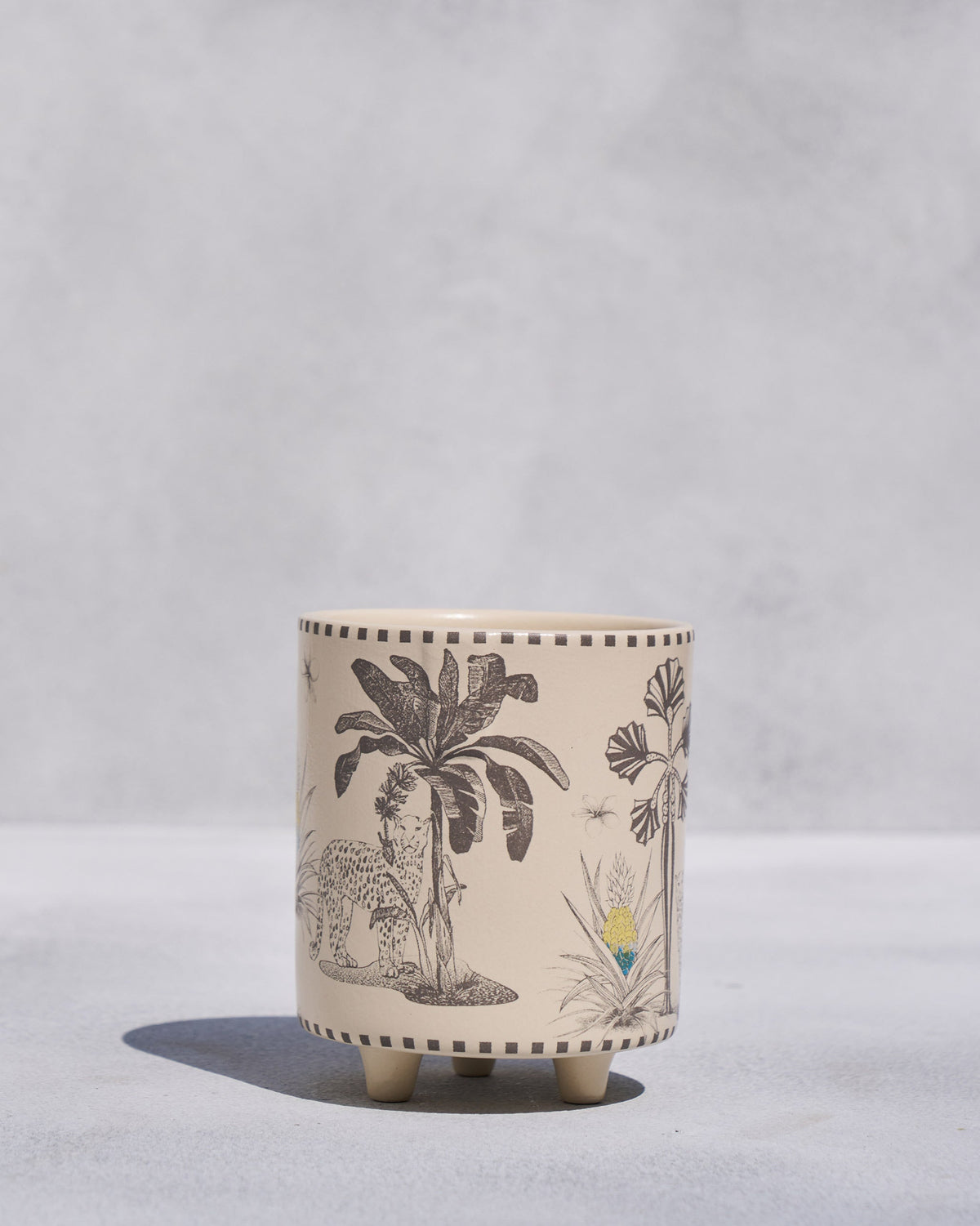 Cream Monchrome planter with a leopard and palm tree print.