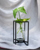 Carafe Planter