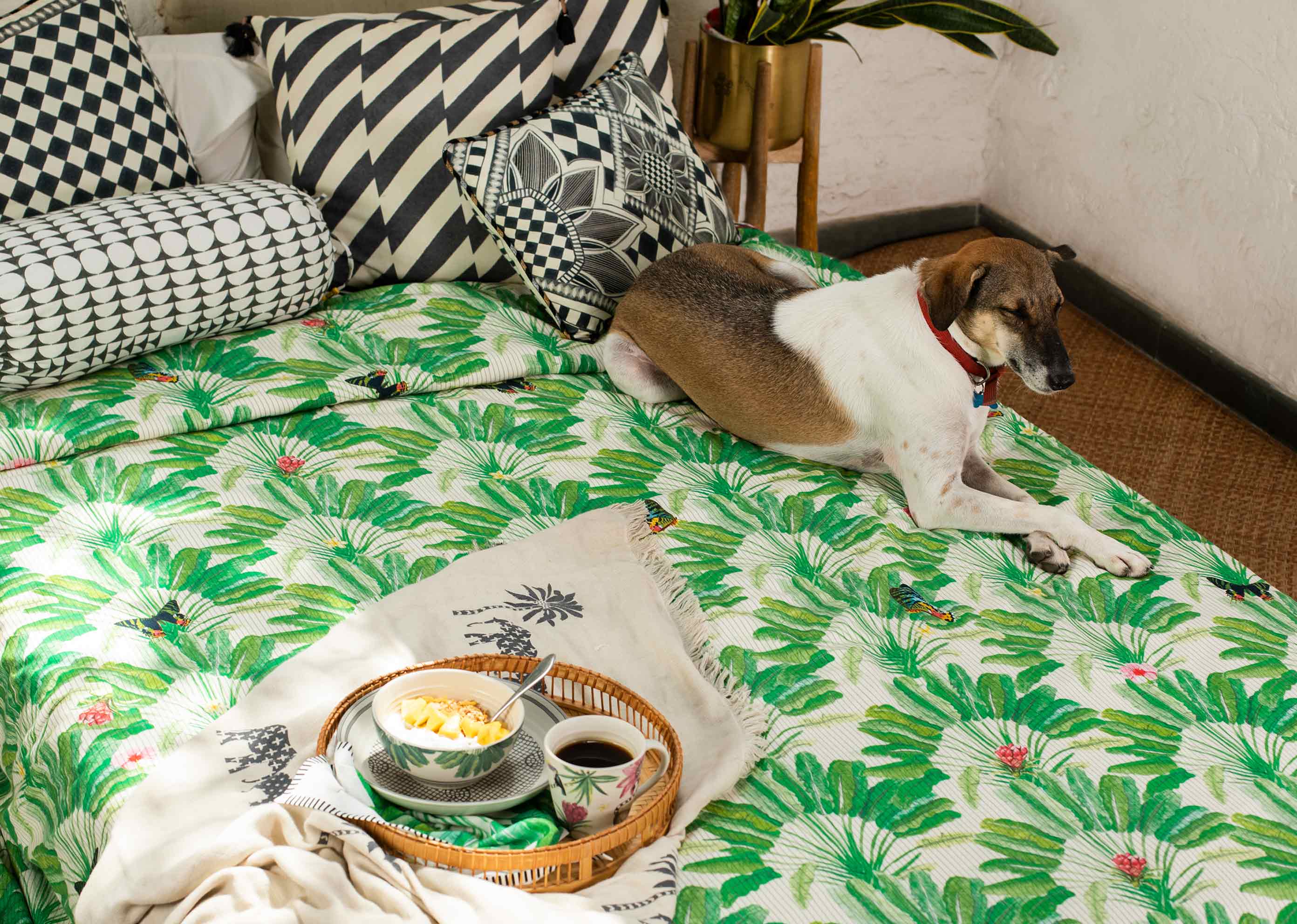 Ravenala Bed Cover - Queen