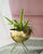 Myra Planter