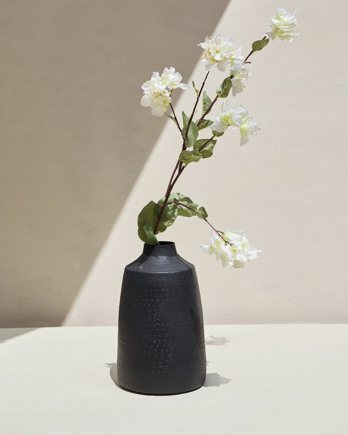Tall Bougainvillea Cream Flower stem leaning out of a black vase.