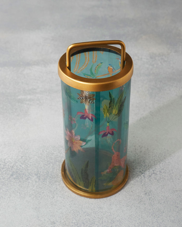 Cirrus Lantern - TSSxNB
