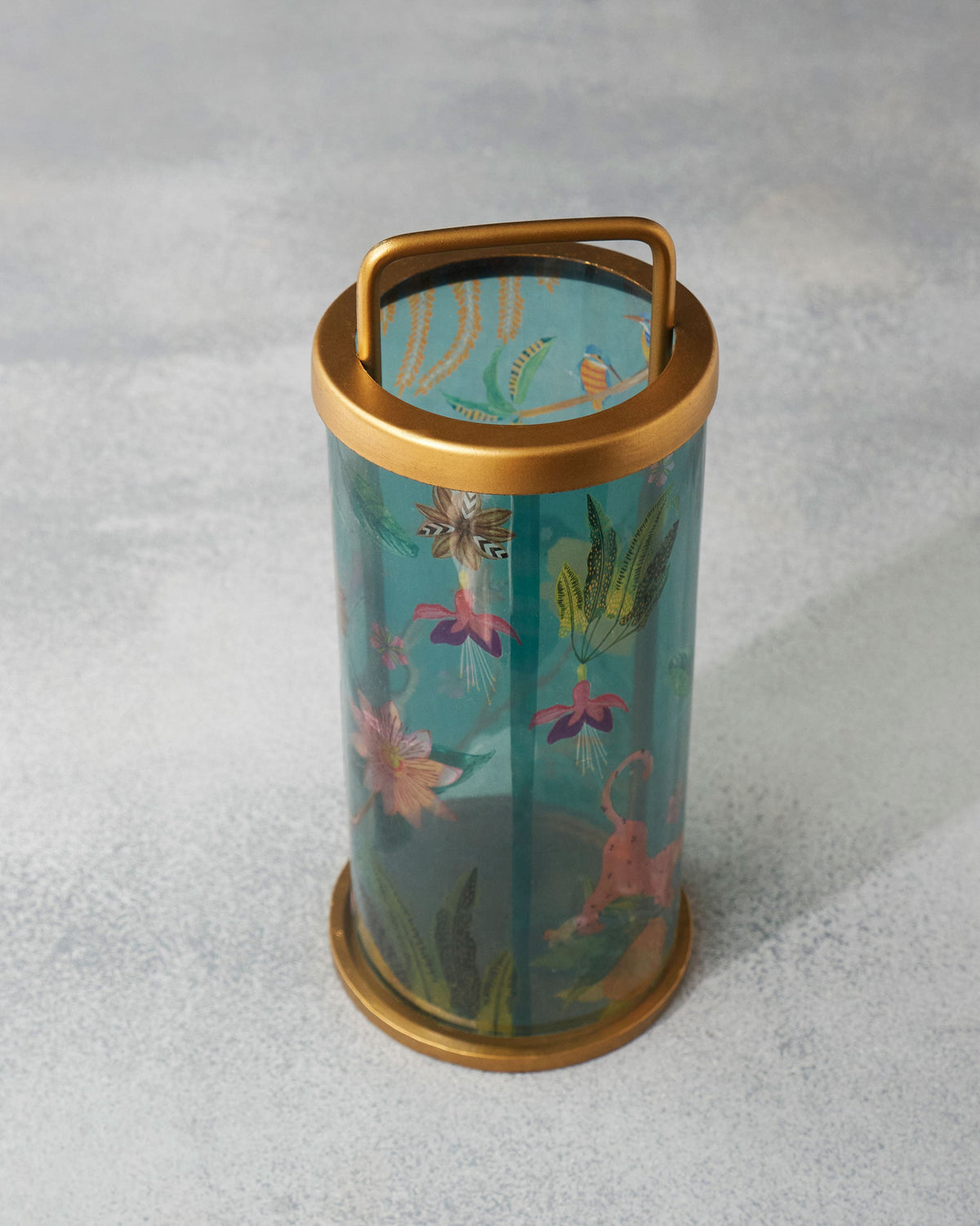 Cirrus Lantern - TSSxNB