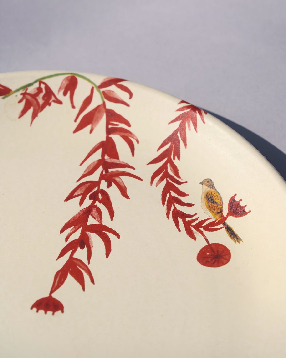 Thazin Dinner Plate