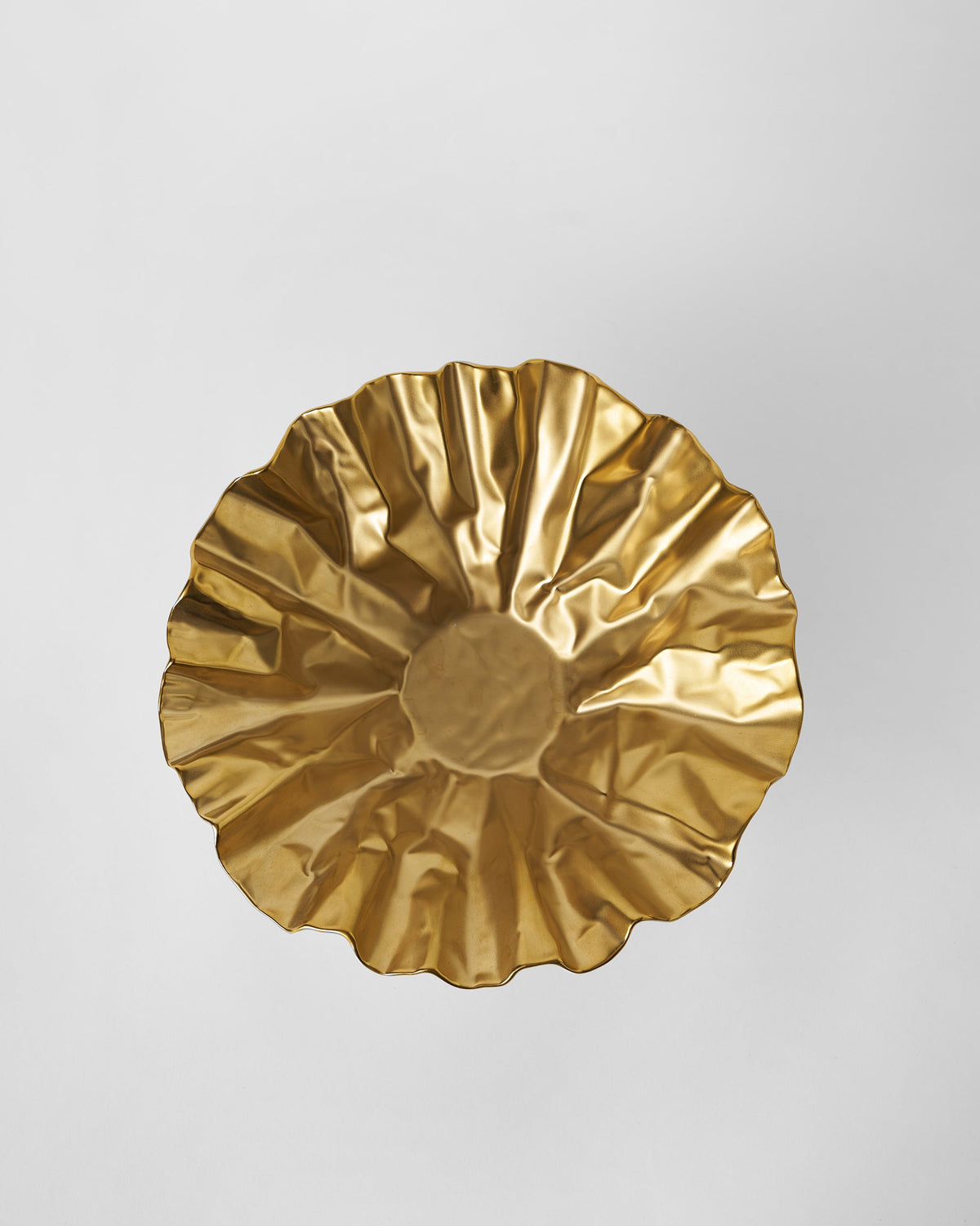 Dhaara Fruit Bowl