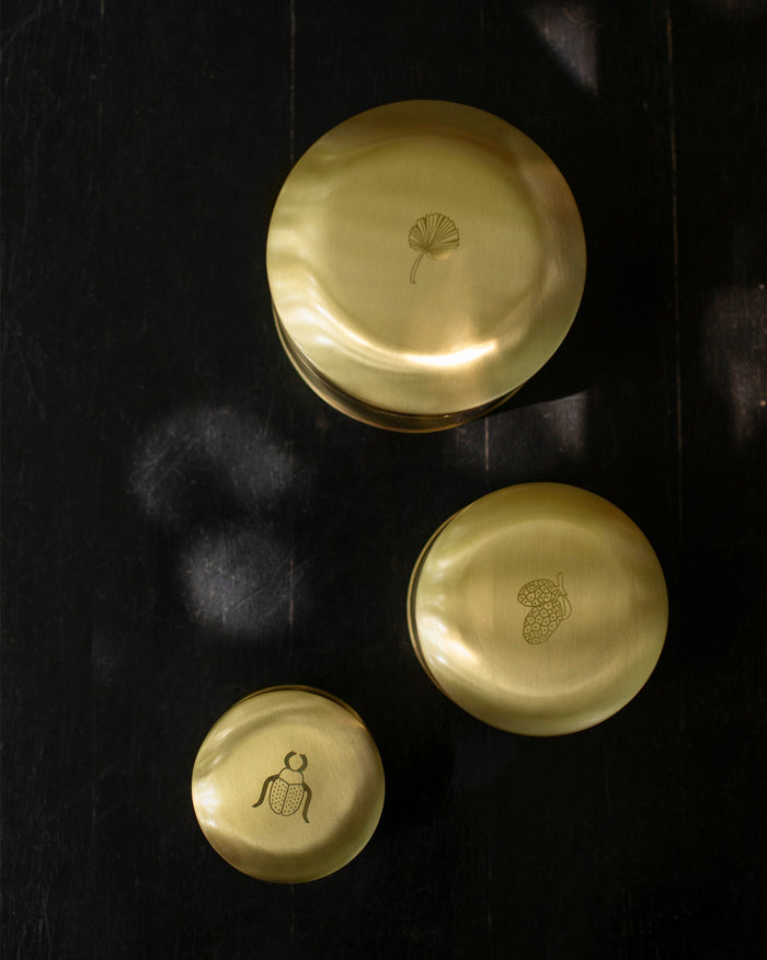 Dariya Nested Containers (Set of 3)