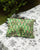 Sago Cushion Cover