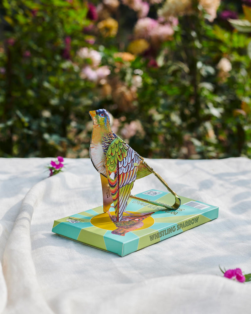 whistling sparrow -  Multi