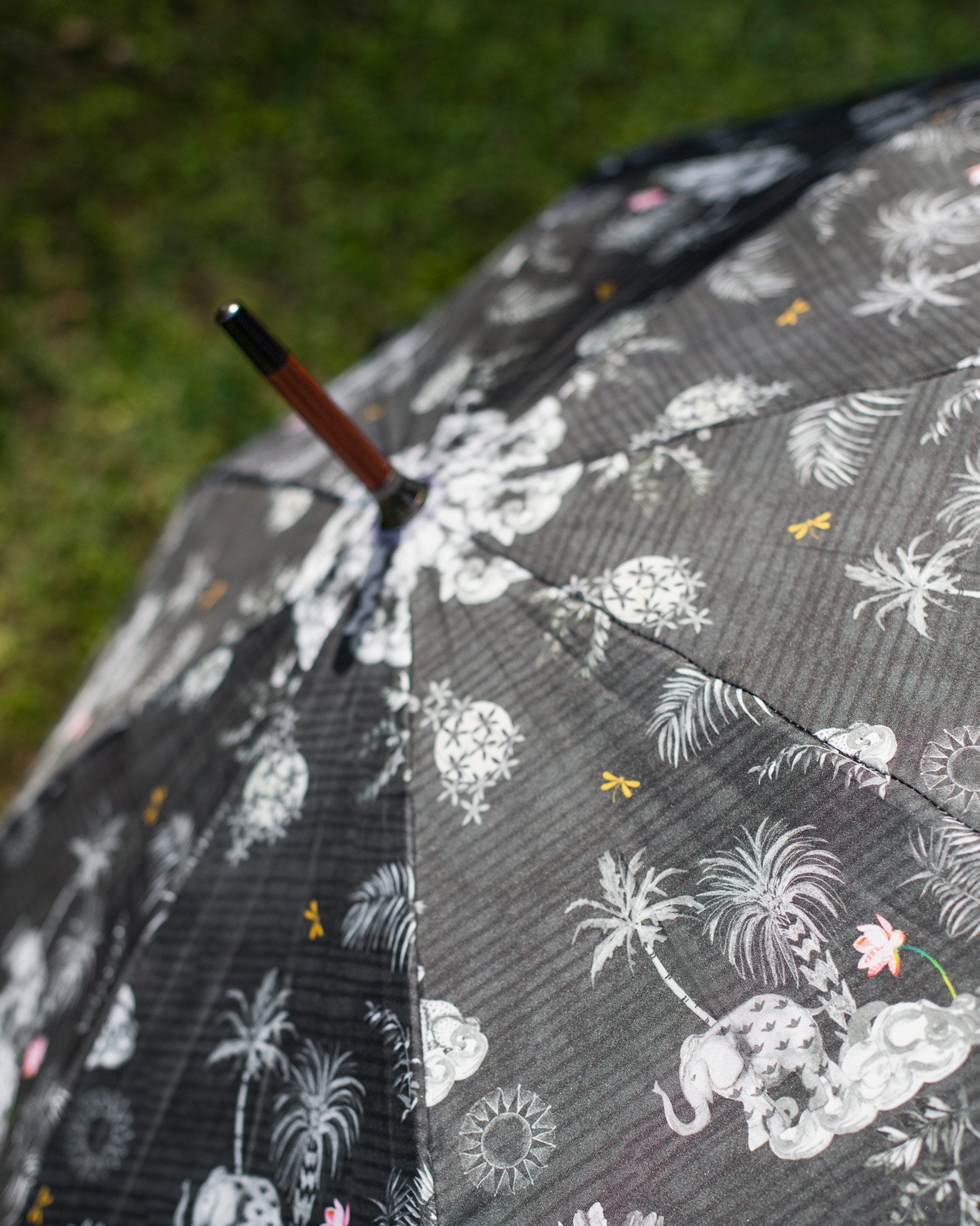 Periyar Umbrella