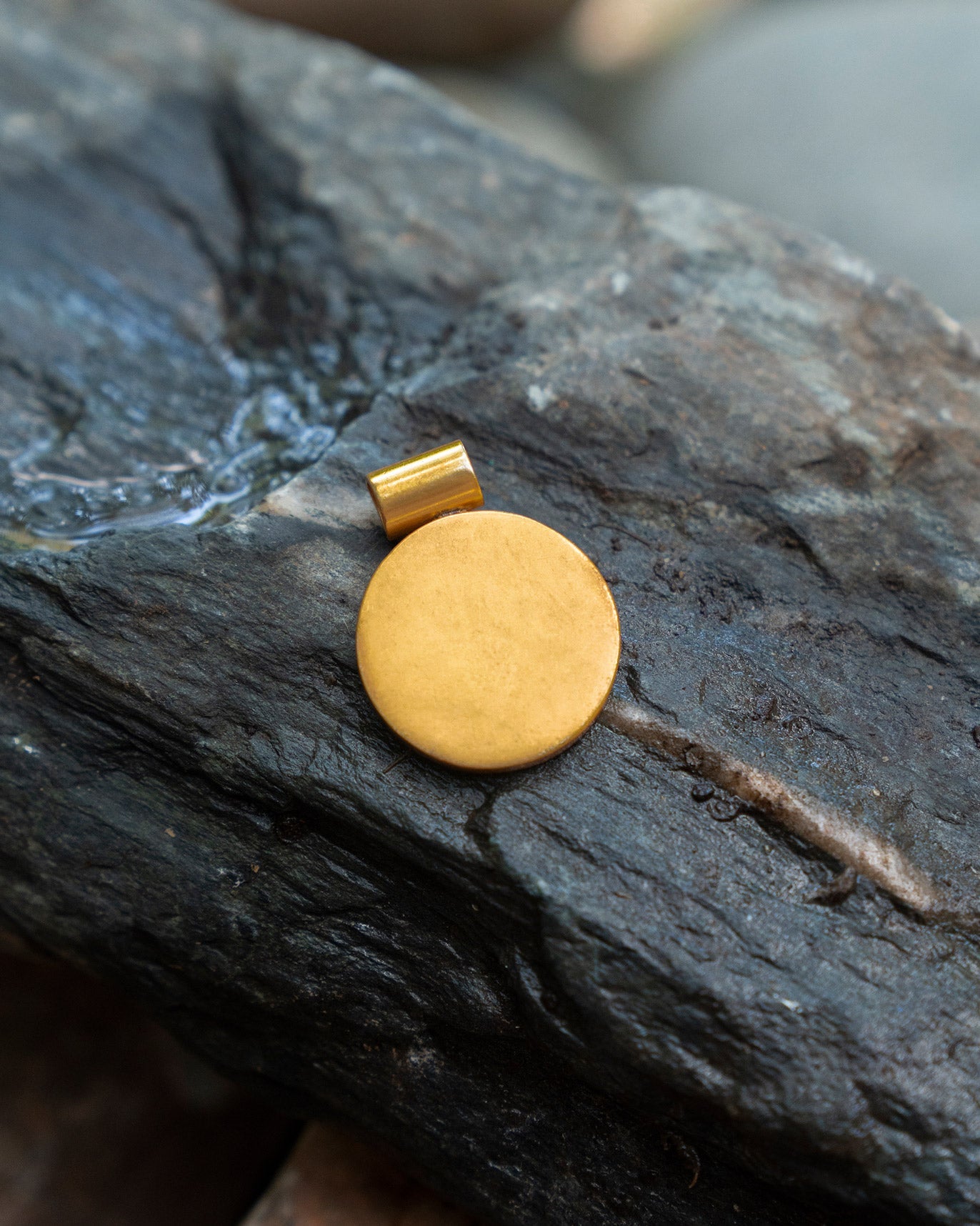 Tiger Earth Sign Charm - Gold