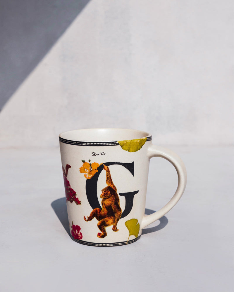 Gulmohar mug