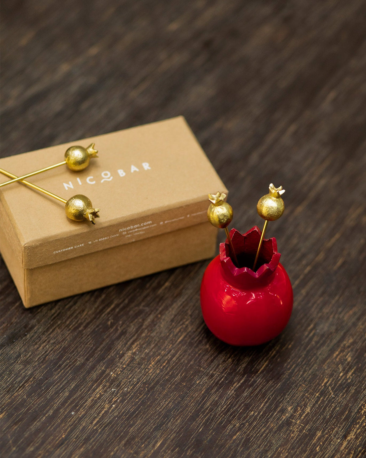 Anar Kebab Picks in a red holder beside a kraft Nicobar box.