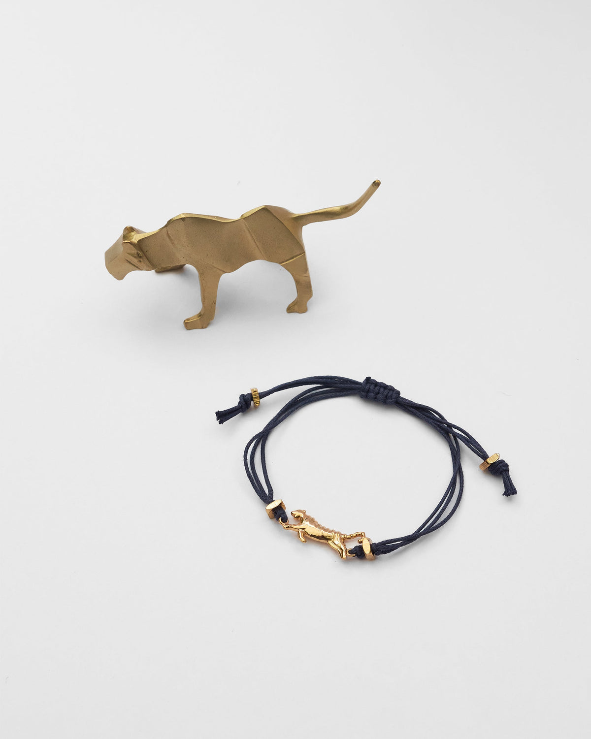 The Tiger Rakhi Set