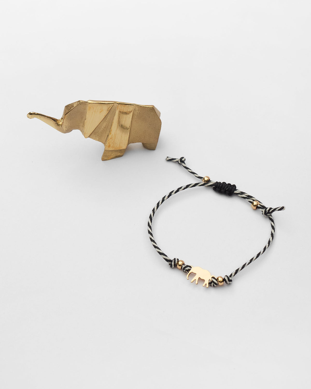 The Ele Rakhi Set
