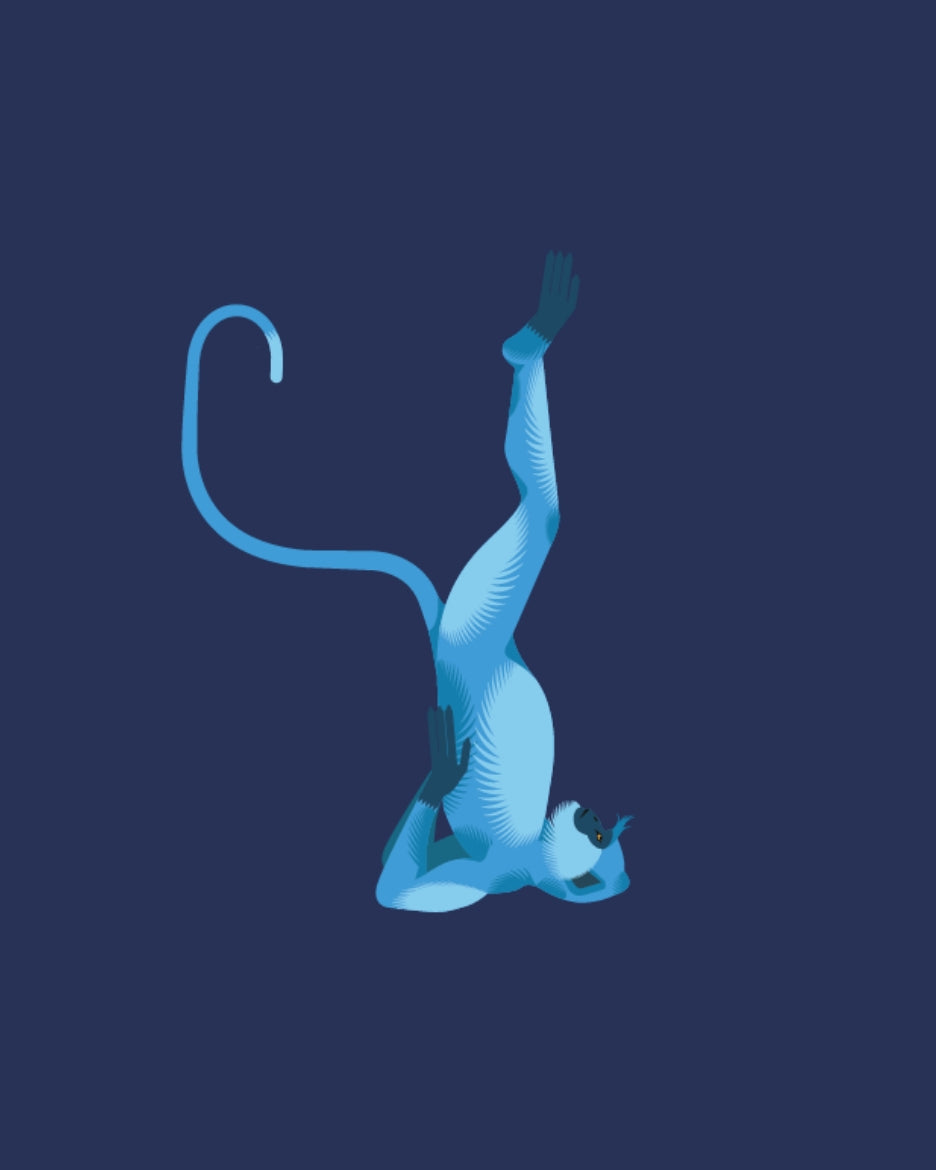 Illustration of a blue figure doing a handstand on a navy background.