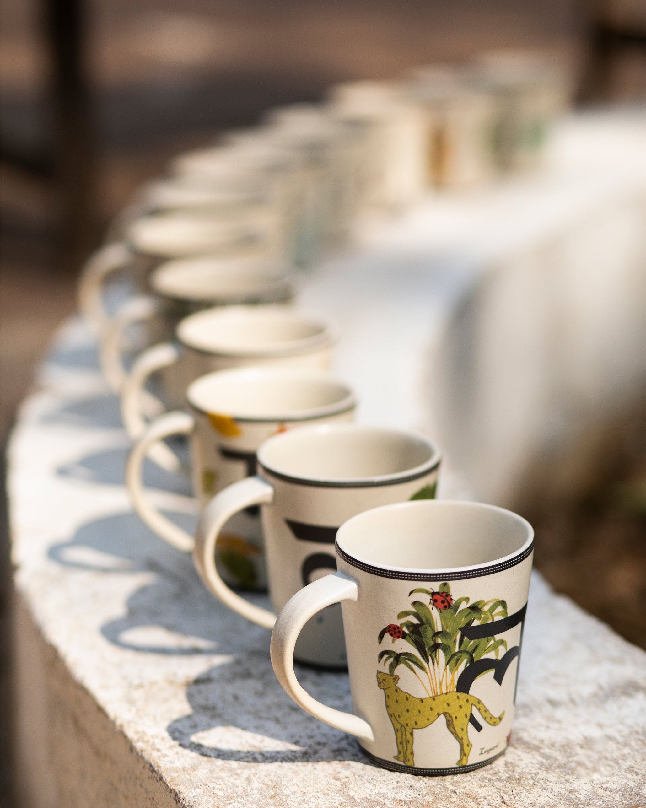 Gulmohar mug