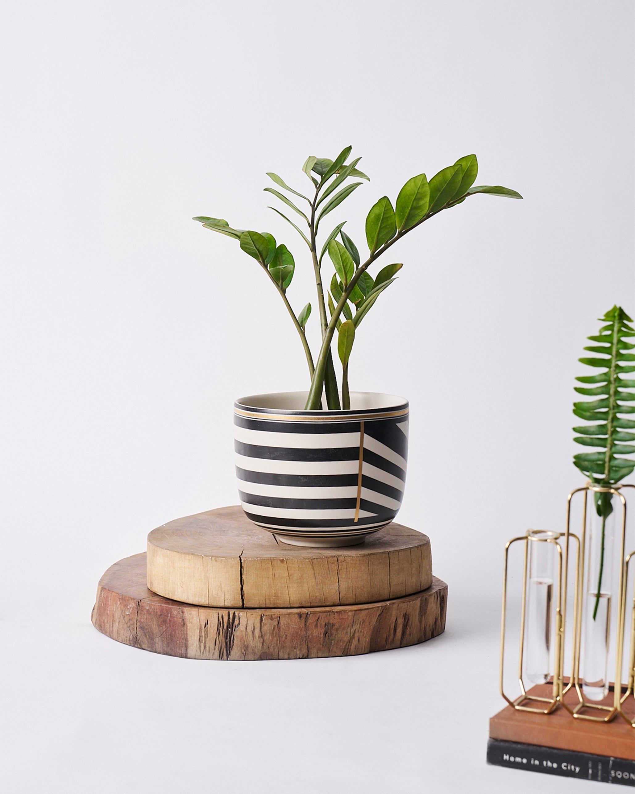 Linea Vase