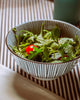 Aiiro Snack Bowl (Set of 5) - TSSxNB