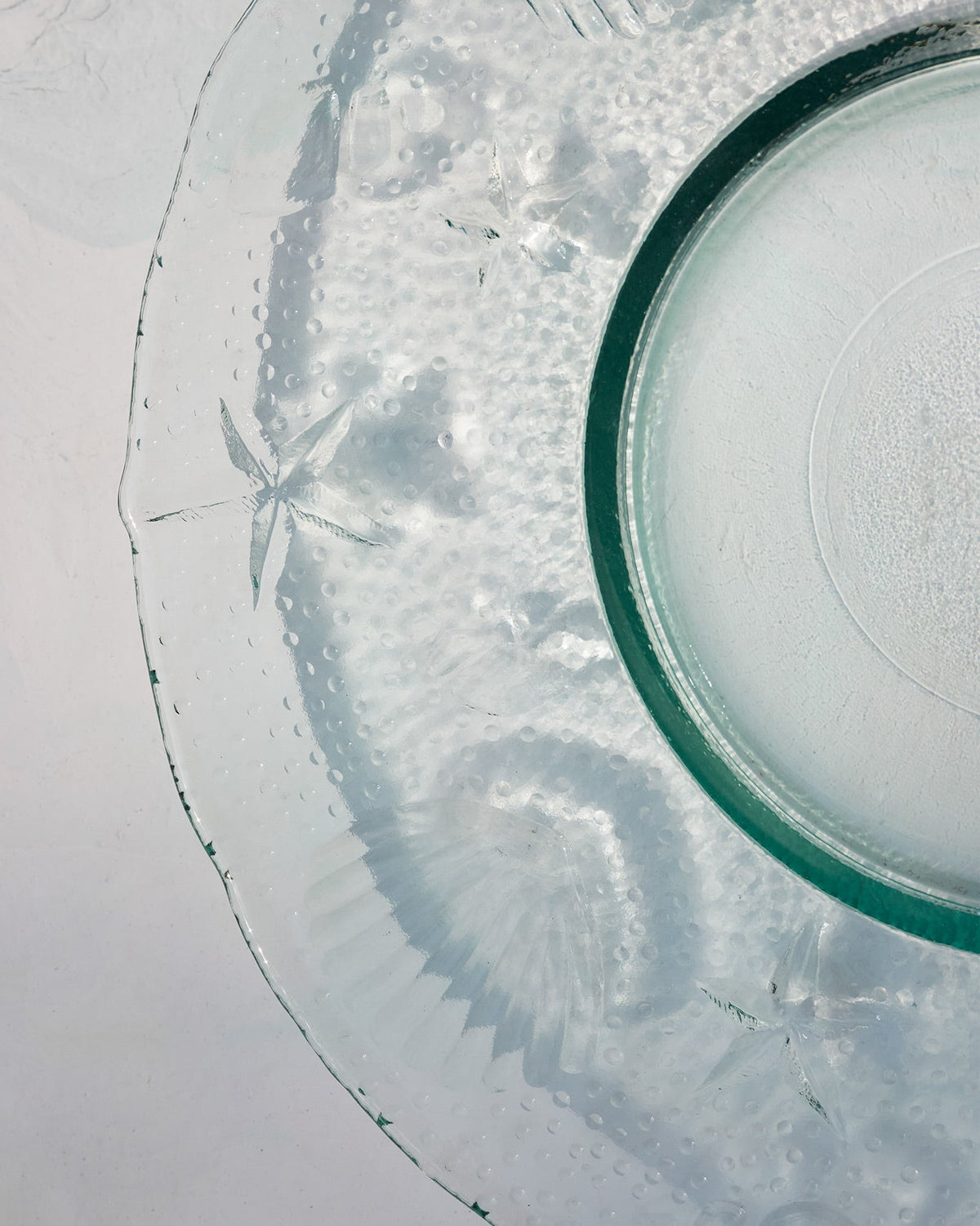 Close-up of a Shore Salad Plate showing its textured rim and a starfish.