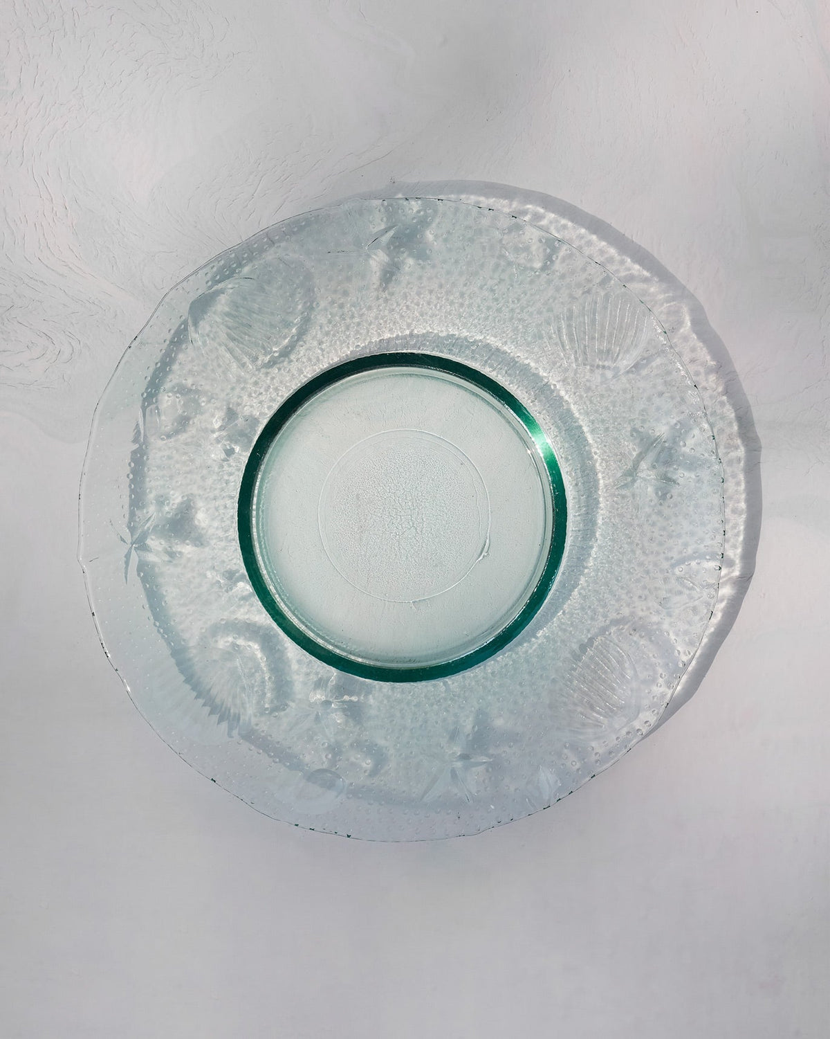 Shore Salad Plate seen from above, with shell and starfish designs around the rim.
