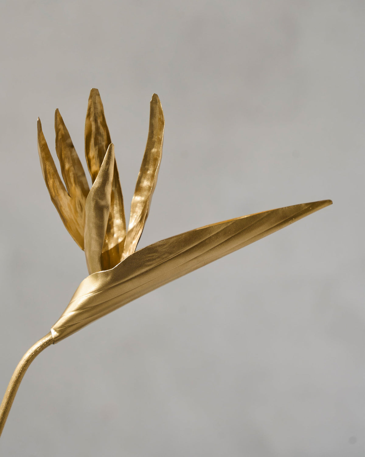 Close-up of the Bird of Paradise Home Accent in gold showing its pointed petals.