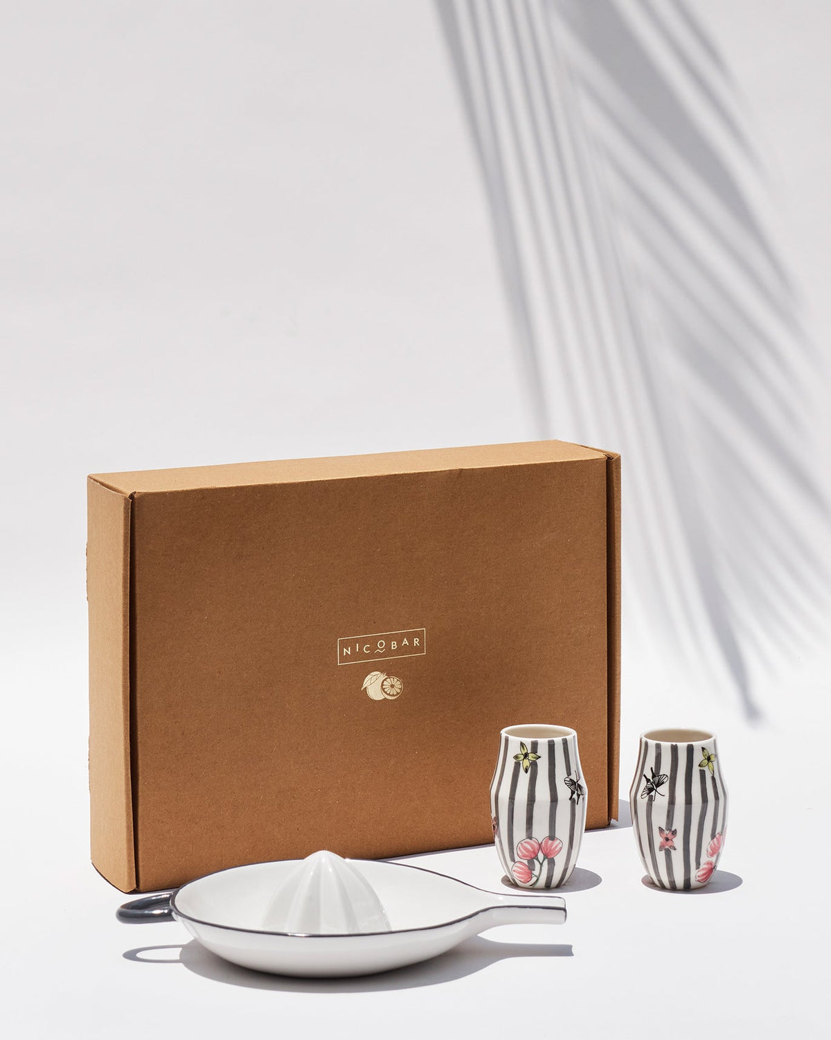 Just Juice It gift set packed in a kraft box beside a citrus squeezer.