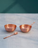 Russet Nut Bowl with Spoon (Set of 2) - TSSxNB