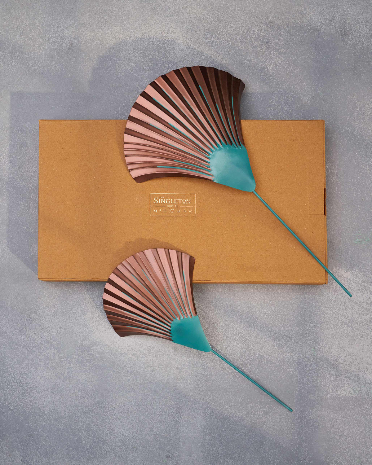 Pair of Shell Home Accents laid flat on a tan box.