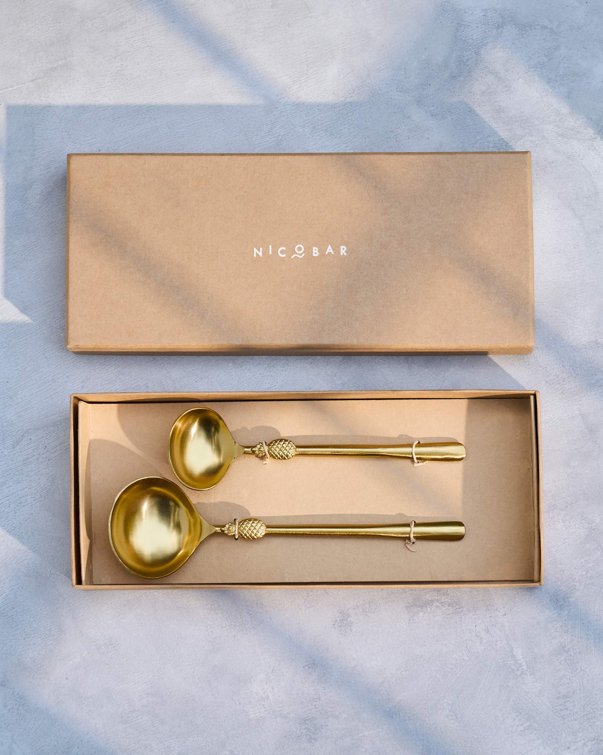 Pineapple Serving Spoon set of two in an open box.