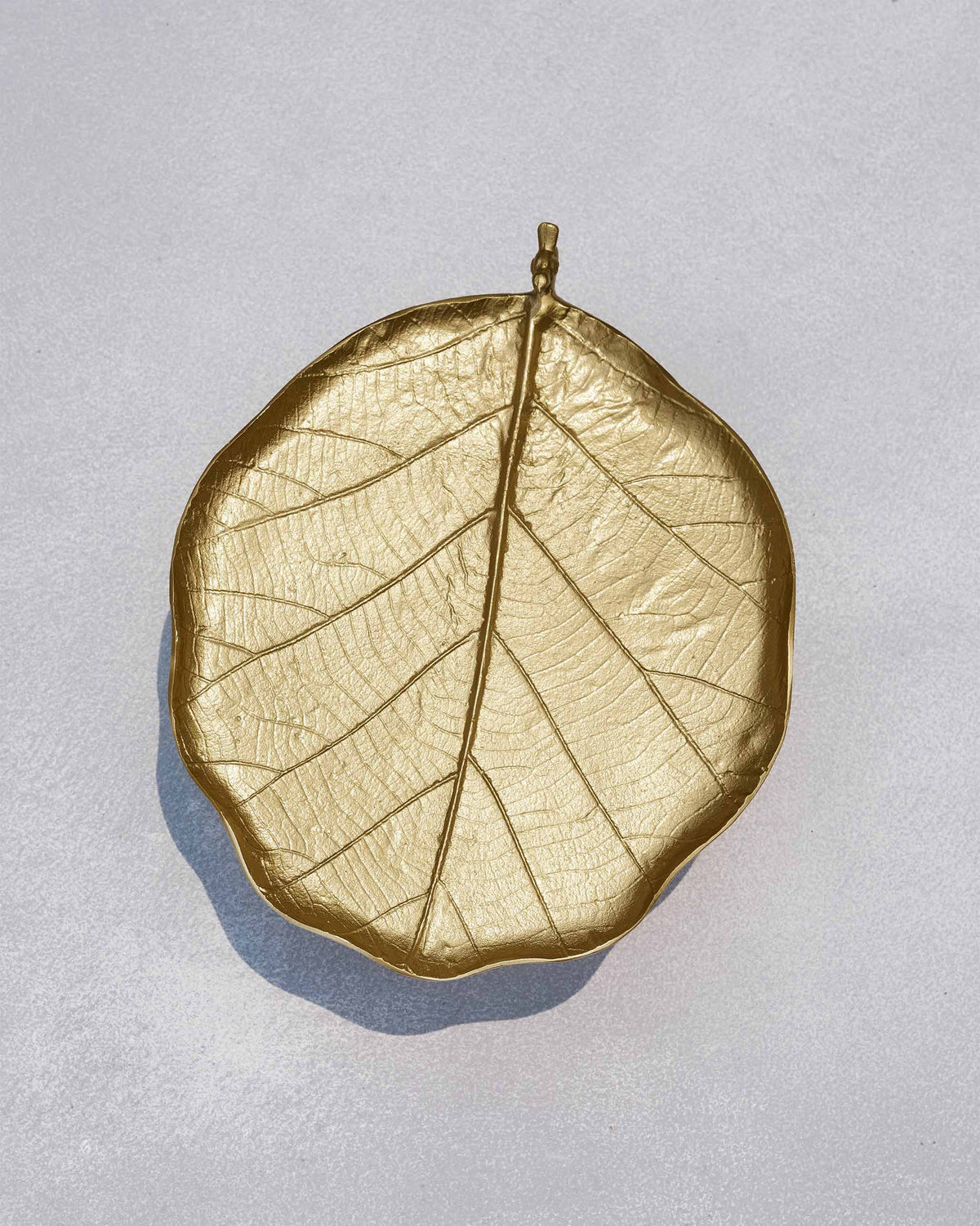 Leaf Deco Tray seen from above, showing its veined leaf surface.