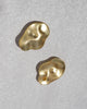 Oyster Drop Earrings - Brass