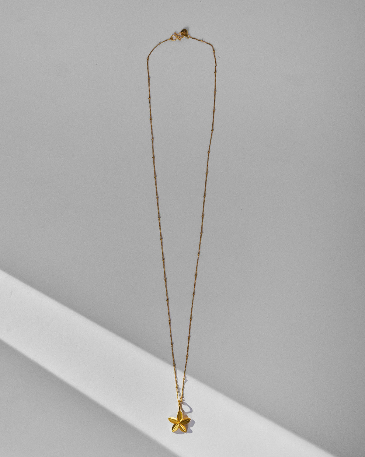 Frangi Charm with Chain - Gold