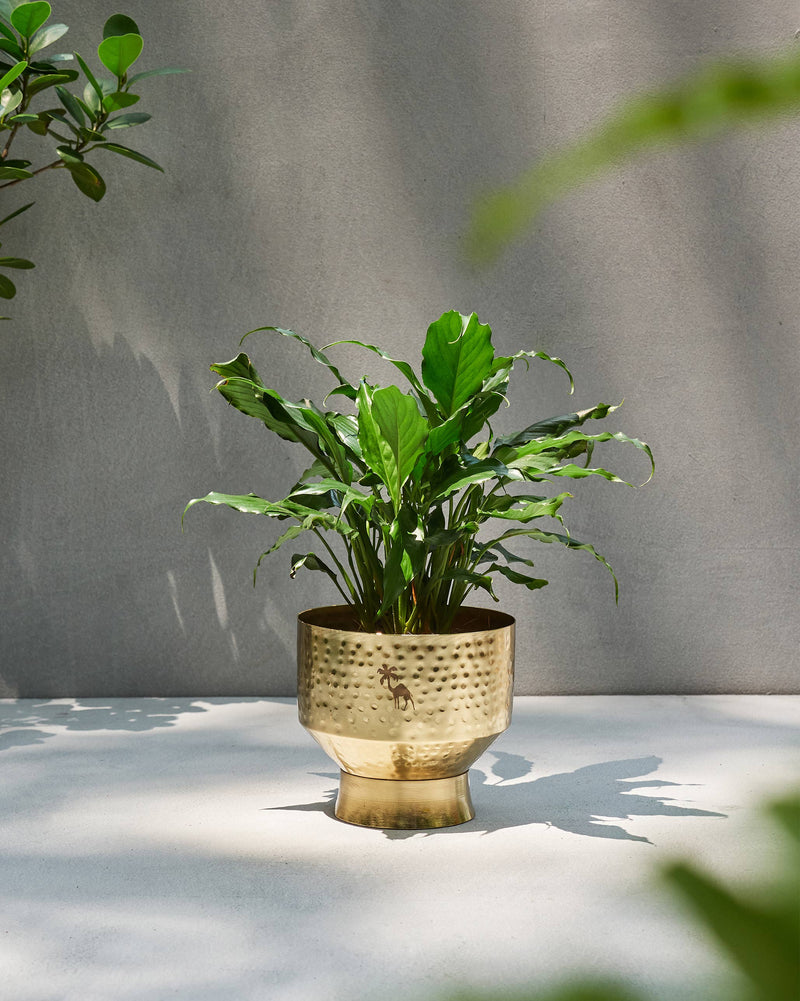 Marrakech Planter