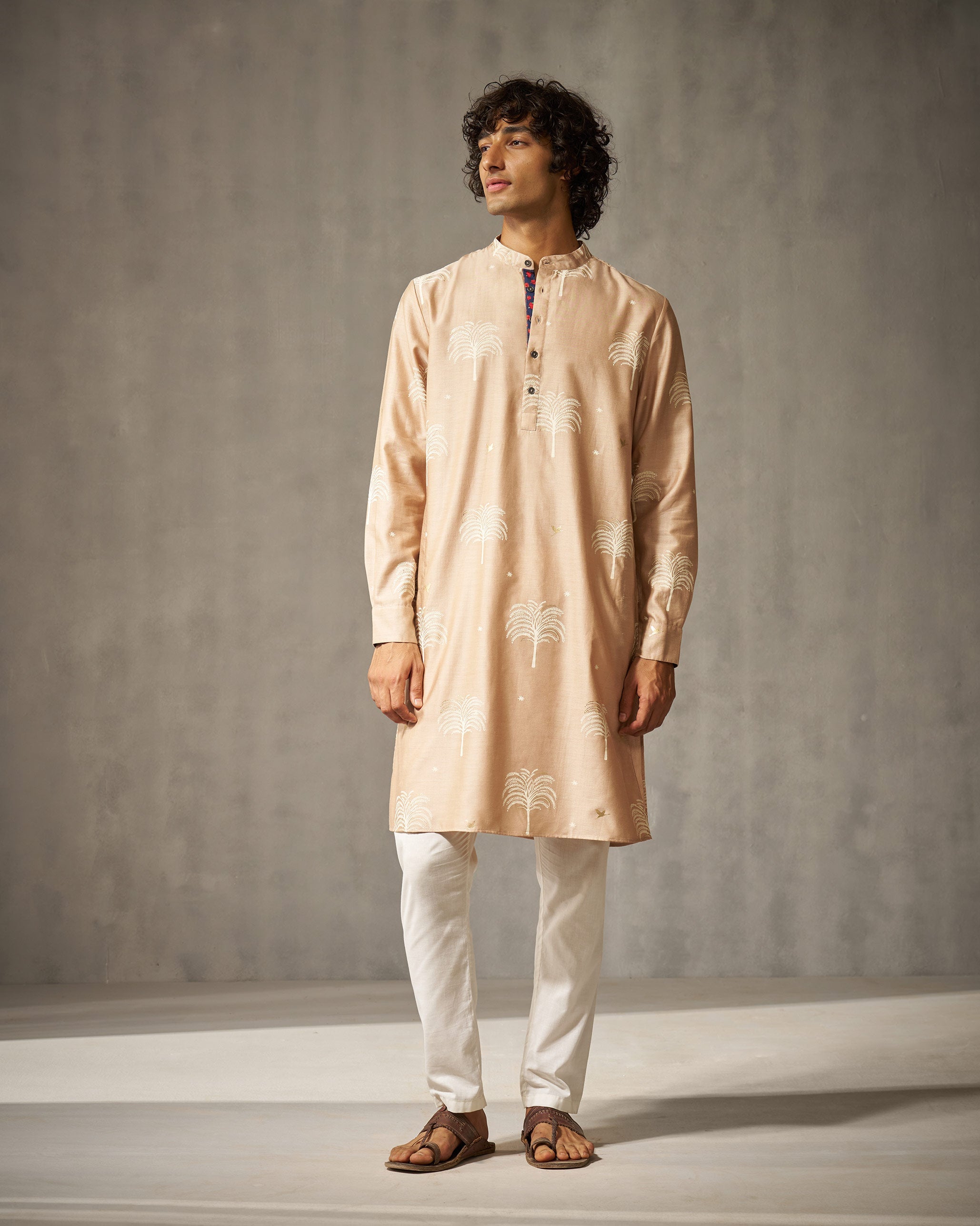 Bageecha Kurta - Light Brown Print