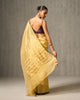 Sunshine Stripe Sari - Yellow & Gold