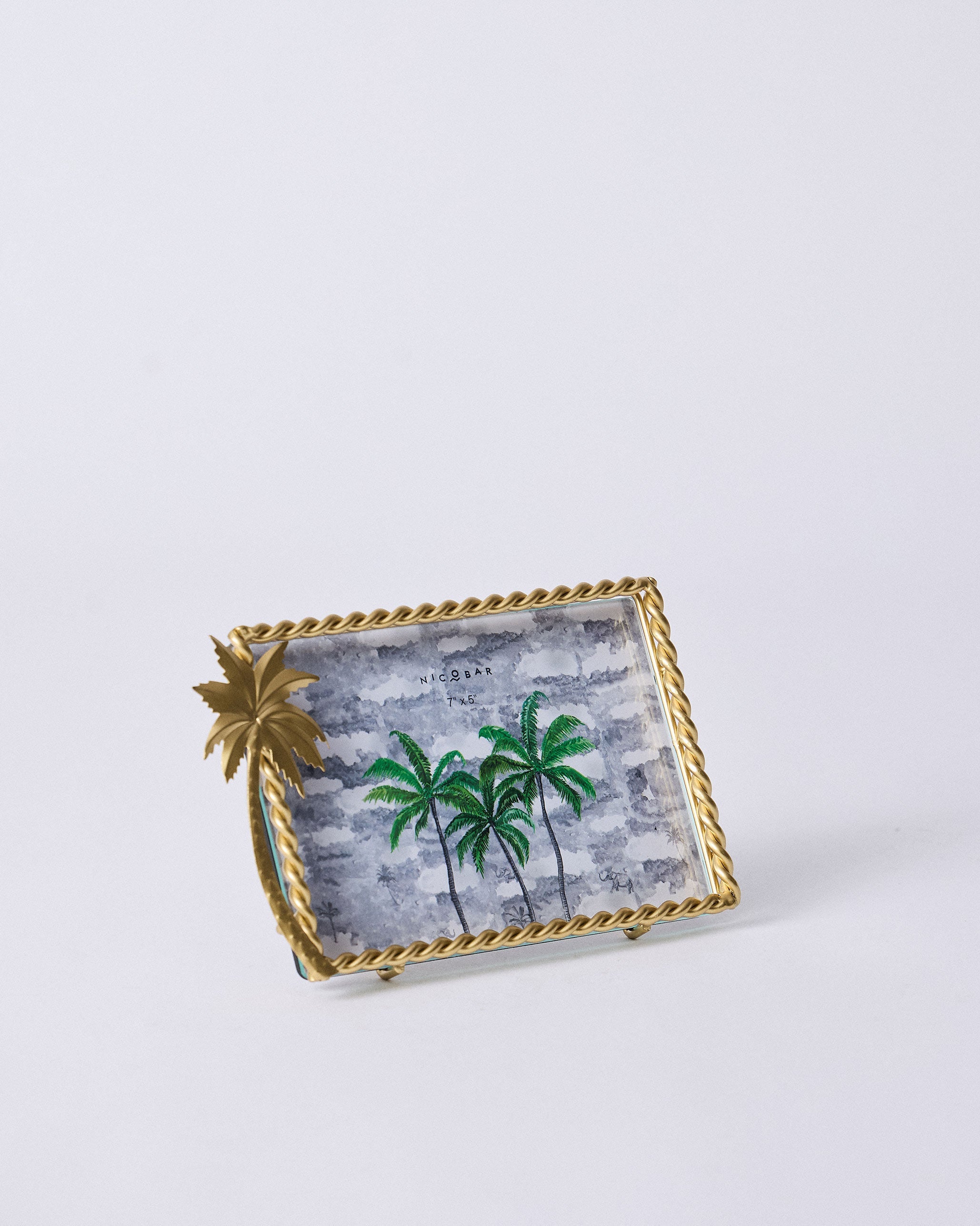 Island Palm Photo Frame