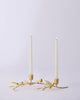 Clove Branch Candle Stand