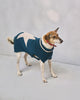 Star Snug Dog Sweater - Teal & Oatmeal