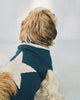 Star Snug Dog Sweater - Teal & Oatmeal