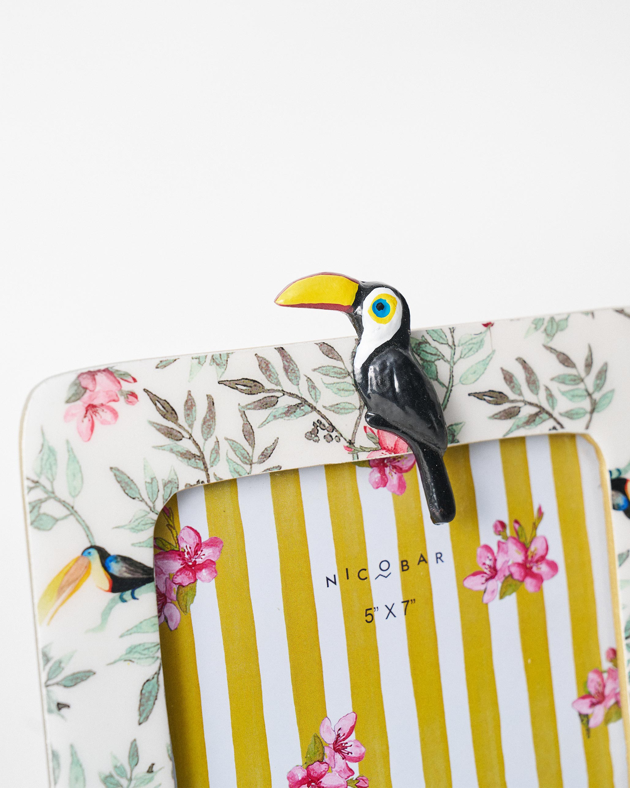 Toucan Photo Frame