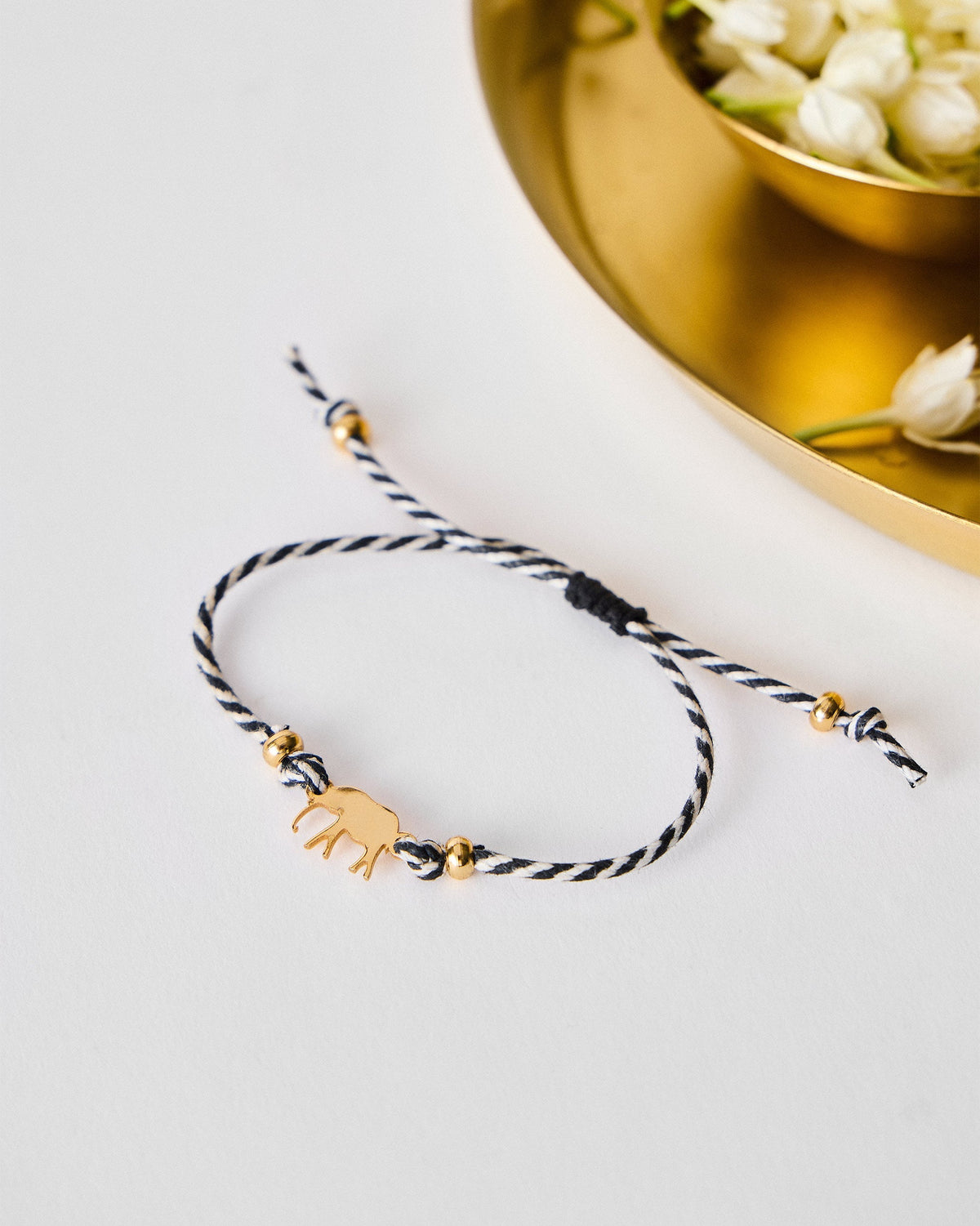 The Ele Rakhi Set